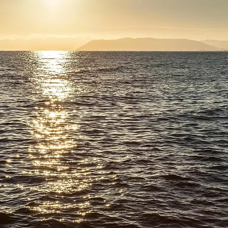 Coriandolo - * Viareggio